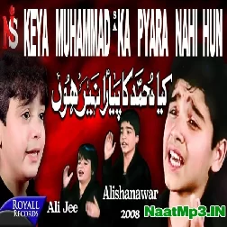 Kya Muhammad Ka Pyara Nhi Hu (Ali Jee,Alishanawar)